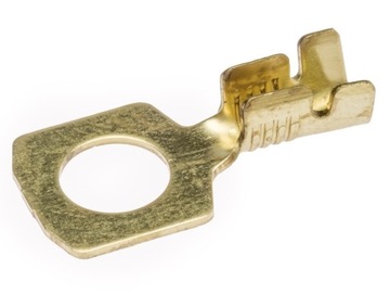 Konektory oczkowe M6/2,5 (10 sztuk)