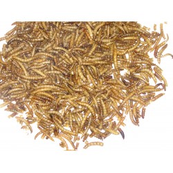 Suszone larwy mącznika młynarka 1 kg dla ptaków