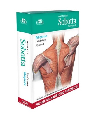 Anatomia Sobotta Flashcards. Mięśnie. Polskie mianownictwo anatomiczne