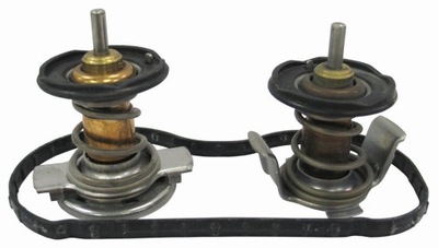 THERMOSTAT THERMOSTATS 2 PIÈCES FORD F-250 F250 F-350 F350 6.4 DIESEL 2008-2010 - milautoparts-fr.ukrlive.com