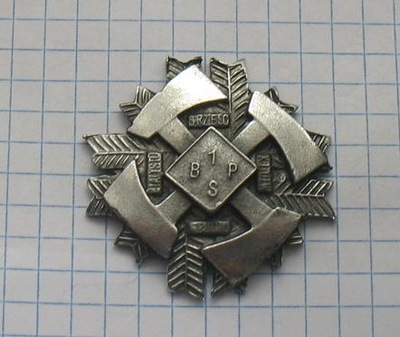 odznaka 1 BSP