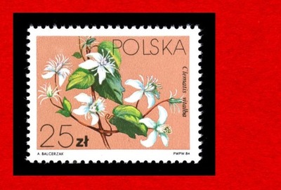 2762 zn cz** 1984 Powojniki Clematis