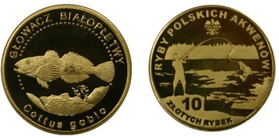 Głowacz Białopłetwy - 10 złotych rybek - Ryby Pols