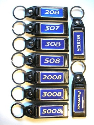 KEYRING PEUGEOT 307 208 308 508 2008 5008 CARGO - milautoparts-fr.ukrlive.com