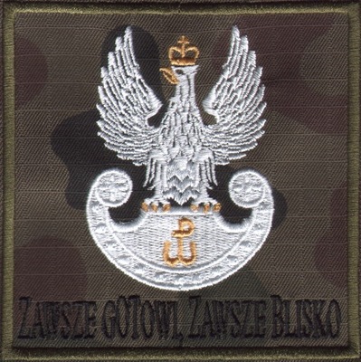 Orzeł wojsk obrony terytorialnej WOT wz2010 b-n