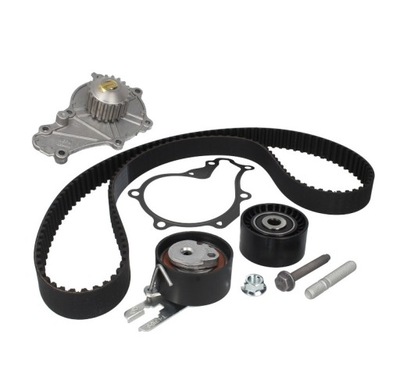 INA TUNING GEAR + PUMP PEUGEOT 407 / 3008 / 5008 1.6HDI - milautoparts-fr.ukrlive.com