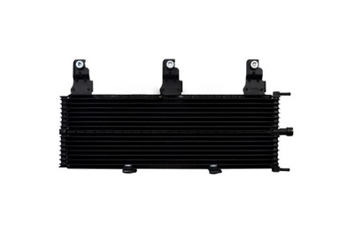 RADIATOR OILS NISSAN NAVARA D40 PATHFINDER R51 - milautoparts-fr.ukrlive.com