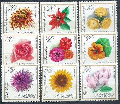 1548-56**Kwiaty ogrodowe