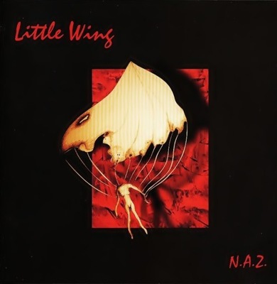 LITTLE WING N.A.Z. (CD)