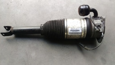 Амортизатор задняя bentley continental 3w5616001b фото №1