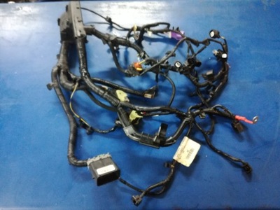 Ford ka plus жгут двигателя 1.2 бензин фото №1