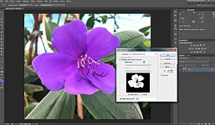 Видеокурс Photoshop CS6 – выделение и вырезание