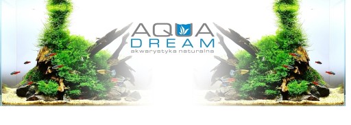 Żwirek, żwir, piasek kwarcowy do akwarium 2-3mm 2kg AQUAdream