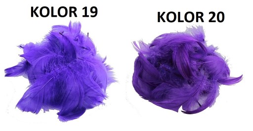 PIÓRA PIÓRKA MIX 25 SZT PIÓRO DEKORACYJNE 23xKOLOR