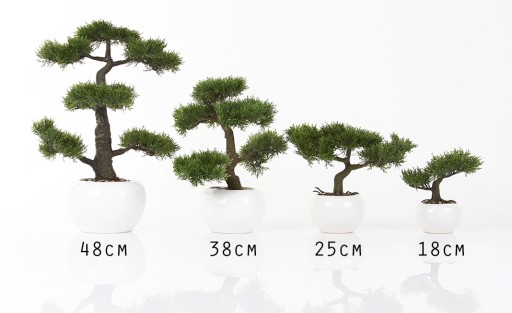 впечатляющее искусственное дерево BONSAI Podocarpus 60/50