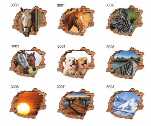 naklejki na ścianę ścienne 3d Dziura w ścianie 142