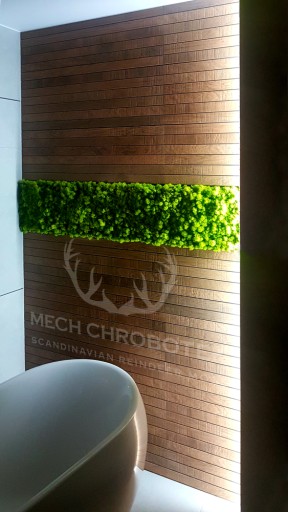 МОСС Reindeer Spring Green 5кг ПРЕМИУМ