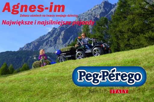 PEG PEREGO BATTERY 12V 8Ah электромобили