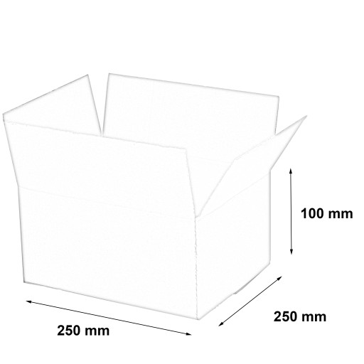КАРТОННАЯ КОРОБКА 250x200x100 100 шт.