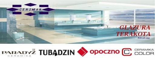 SERENITY 32,8x89,8 Плитка Tubądzin - Доставка PL.