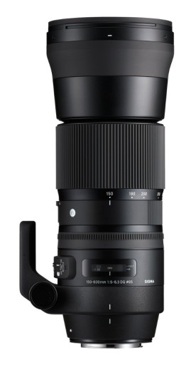 Sigma LENS C 150-600 мм f5-6.3 DG OS HSM Canon | отличный телеобъектив