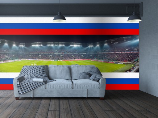 Stadion Górnik Zabrze Fototapeta PANORAMA 3 D