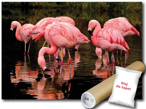 FOTOTAPETA FLAMINGI PTAKI 12C FXL 208x146 F3616