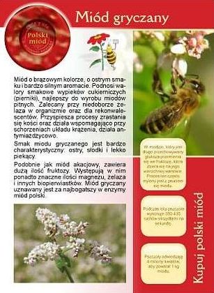 Broszura informacyjna - Miód GRYCZANY ul pasieka