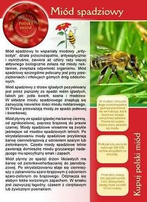 Broszura informacyjna - Miód SPADZIOWY ul pasieka