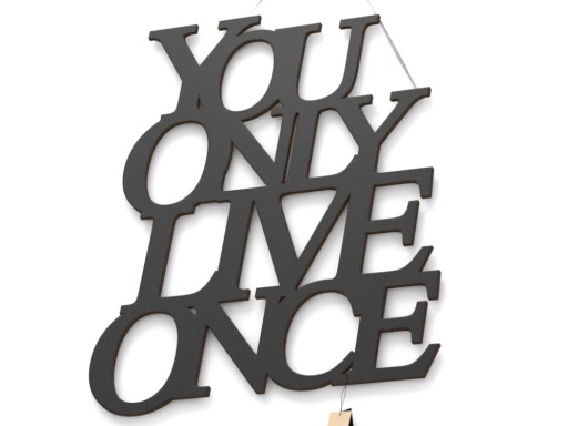 3D Napisy na ścianę drewniane You only live once
