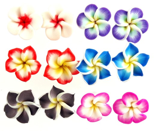 Sada náušníc 6 párov havajské kvety kvet