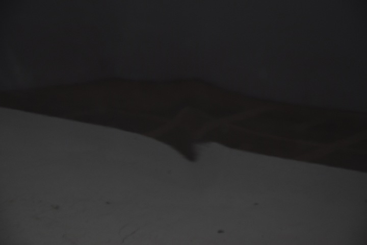 фото №4, Дверь задние зад левая audi a2