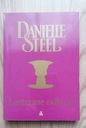 Zdjęcie oferty: Danielle Steel - Lustrzane odbicie