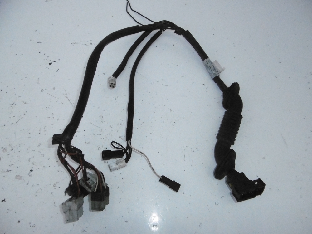 фото №1, Джгут електропроводка двері ліва daf xf 95