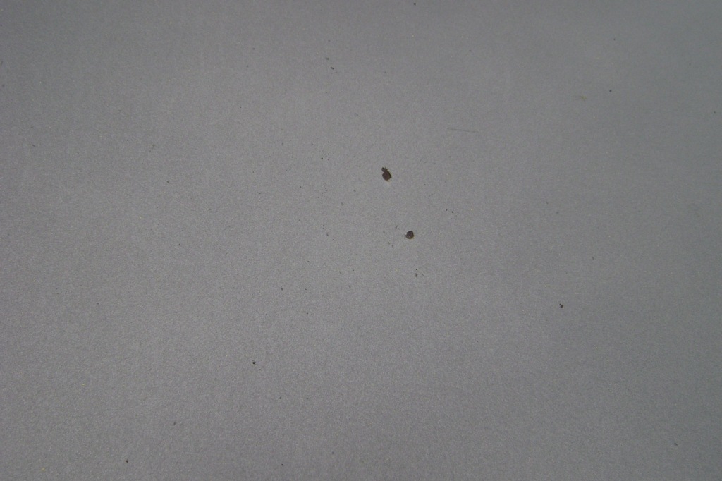 фото №3, Vw passat b6 - капот la7t